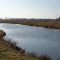 Zufluss am Dümmer