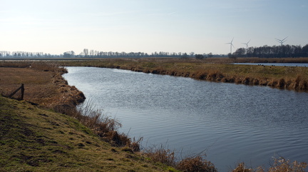 Zufluss am Dümmer