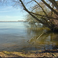 Blick auf den Dümmer