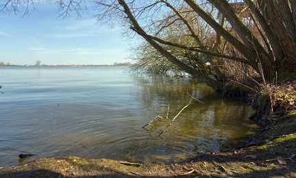Blick auf den Dümmer