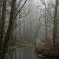 Düssel im Nebel III