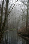 Düssel im Nebel III