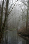 Düssel im Nebel II