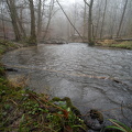 Düssel im Nebel