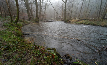 Düssel im Nebel