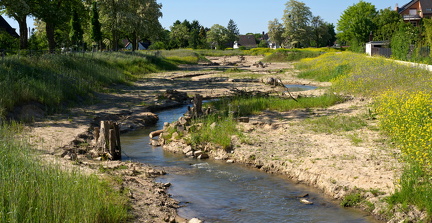 Düssel-Mäander