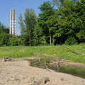 Blick über die Düssel - renaturiert